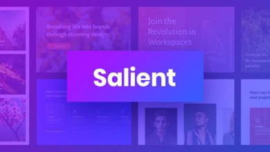 Salient Theme free Download 14.0.4 Multi-Purpose Nulled