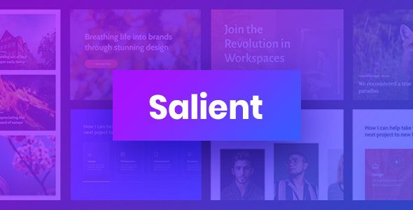 Salient Theme Free Download 15.0.4 Multi-Purpose Nulled