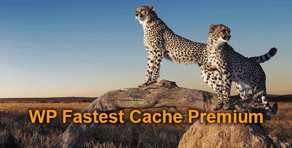 WP Fastest Cache Premium Plugin 1.6.5 WordPress Cache