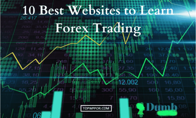 Top 10 Best Most Popular Forex Brokers in the World in 2023