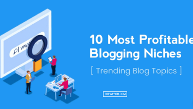 top 10 Most Popular Blogging Niches to Make Money Online